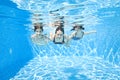 Family swims in swimming pool underwater, happy active mother and children have fun under water, fitness and sport with kids Royalty Free Stock Photo