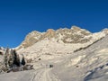 Family tobogganing in wonderful winter landscape in Partnun. Praettigau, Graubuenden, Switzerland. Royalty Free Stock Photo