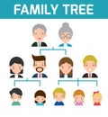 Family Tree, diagram of members on a genealogical tree, isolated on white background, Cartoon vector illustration of family tree Royalty Free Stock Photo