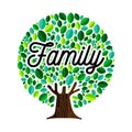 Family tree concept illustration for genealogy Royalty Free Stock Photo