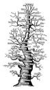 Family tree of life on earth, vintage engraving Royalty Free Stock Photo