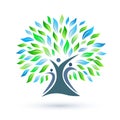 Family Tree Logo with green and blue leaves on white background