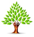 Family Tree Logo Royalty Free Stock Photo