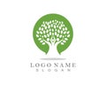 Family Tree Logo template. Royalty Free Stock Photo