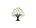 family tree logo template Royalty Free Stock Photo