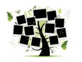 Family tree with photo frames for your design Royalty Free Stock Photo