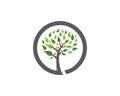 Family tree symbol icon logo design Royalty Free Stock Photo