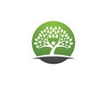 family tree symbol icon logo design Royalty Free Stock Photo