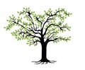 Family Tree template. Genealogical tree Royalty Free Stock Photo