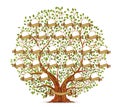 Family Tree template vintage vector illustration Royalty Free Stock Photo