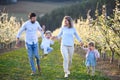 Family with two small children running outdoors in orchard in spring. Royalty Free Stock Photo