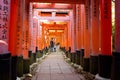 Fushimi inari in kyoto