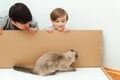 Family unpacking box with new furniture at home. Dad and son opening together big box. Funny cat at home Royalty Free Stock Photo