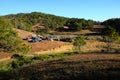 Family vacation, camp, pine forest, dalat, vietnam Royalty Free Stock Photo