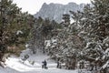 Family with a child on vacation in the mountains in winter sledding with their child Royalty Free Stock Photo