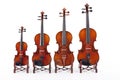 Family of Violins Royalty Free Stock Photo