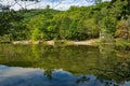 Visitors at Pandapas Pond Royalty Free Stock Photo