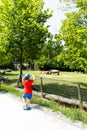 A family visits Bussolengo zoo, Verona, Italy