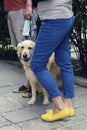 Family waitin infront of a vet clinic with Golden retriever and mask Royalty Free Stock Photo