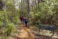 Family walk in Australian rain forest to scenic viewpoint Royalty Free Stock Photo