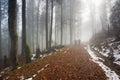 Family on walk in autumn mist Royalty Free Stock Photo