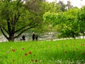 Family walk in the park