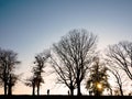 A family walk on a Sunday afternoon in the park Royalty Free Stock Photo