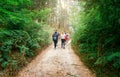 Family walking with backpacks and walking sticks along a path in the field full of trees