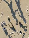 Family walking on beach near litter 3d render Royalty Free Stock Photo