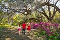 Family walking in the beautiful park on spring morning. Royalty Free Stock Photo