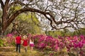 Family walking in the beautiful park on spring morning. Royalty Free Stock Photo