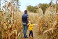 Family walking among the dried corn stalks in a corn maze. Little boy and his father having fun on pumpkin fair at autumn Royalty Free Stock Photo