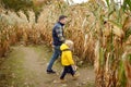 Family walking among the dried corn stalks in a corn maze Royalty Free Stock Photo