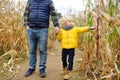 Family walking among the dried corn stalks in a corn maze. Little boy and his father having fun on pumpkin fair at autumn Royalty Free Stock Photo