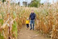 Family walking among the dried corn stalks in a corn maze. Little boy and his father having fun on pumpkin fair at autumn Royalty Free Stock Photo
