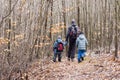 Family walking in forest Royalty Free Stock Photo