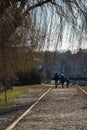 A family walking in Herastrau park during autumn