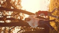 Family walks in the countryside during sunset. Love, parental care and children concept. Vertical.