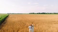 Family walks in wheat field near corn with baby Royalty Free Stock Photo