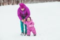 Family walks in the winter park Royalty Free Stock Photo