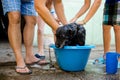 Family washing the dog - low section