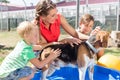 Family washing dog in pool of animal shelter