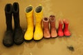 Family wellingtons in dirty water black, yellow, pink, red.