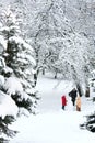 Family in winter park Royalty Free Stock Photo