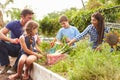 Family Working On Allotment Together Royalty Free Stock Photo