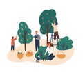 Family working in fruit garden together flat vector illustration. People gathering apples, berries and pears Royalty Free Stock Photo