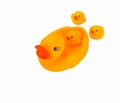 Family yellow rubber duck Royalty Free Stock Photo