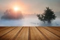 Familyof swans swim across misty foggy Autumn Fall lake at sunrise with wooden planks floor Royalty Free Stock Photo