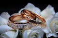 Familys love story portrayed through wedding rings, highlighted with selective focus photography Royalty Free Stock Photo
