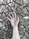 A dead manÃ¢â¬â¢s hand in drought conditions